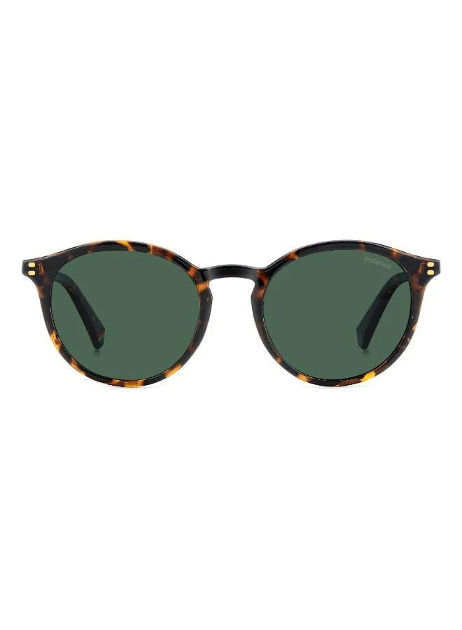 بولارويد إطارات نظارات بانثوس